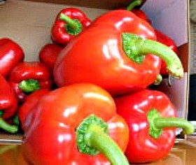 African foods: Often quite spicy!